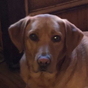 Meet your Posher, Jamie